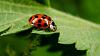     . 

:	022b5ebe-0425-4eb0-ba1d-c24a8291b6f2.jpg 
:	96 
:	42.0  
:	21122